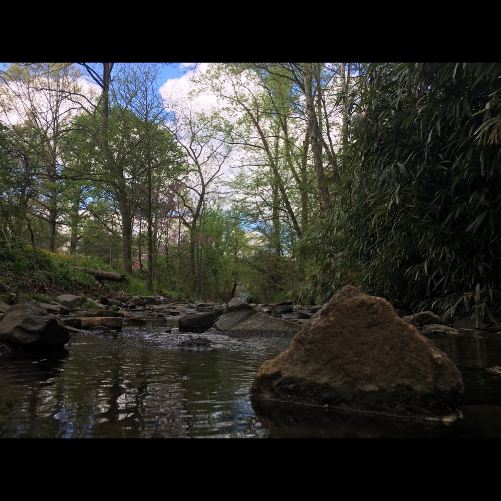 Meet your Posher, Ben